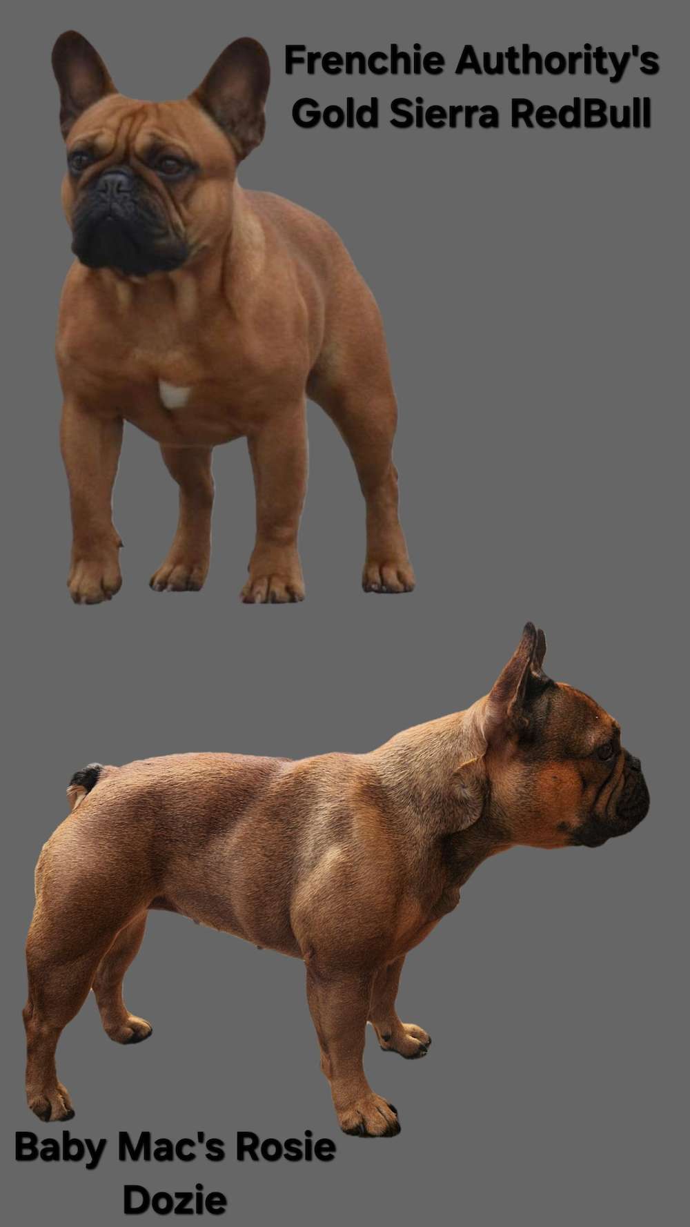 Breeding Announcement!