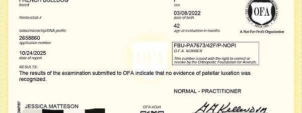 Rosie's OFA Patella Evaluation
